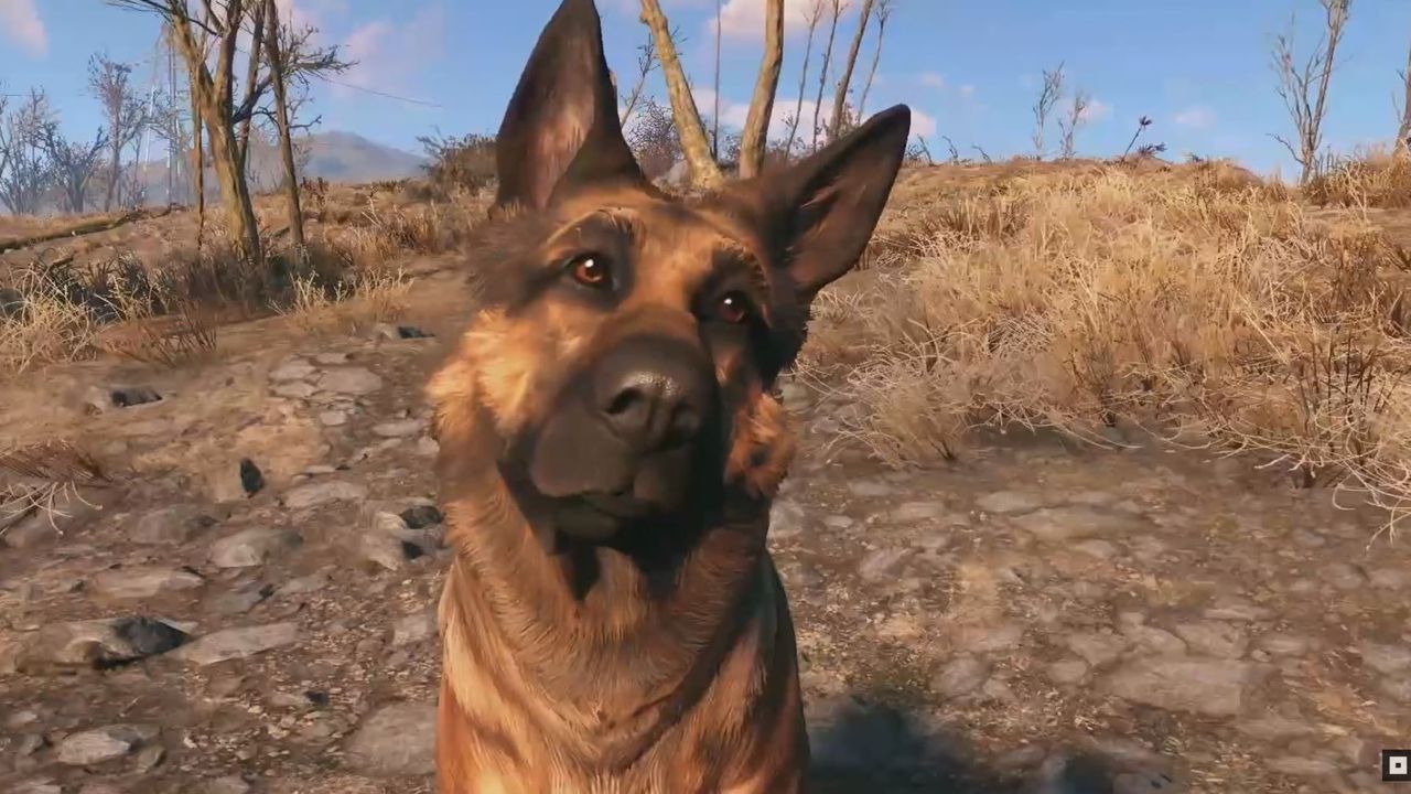 Тодд Говард из Bethesda: 
