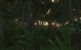 1196241950.jpg