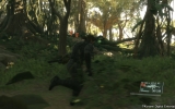 mgstpp_tgs_26_web