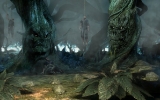 the-living-forest