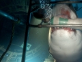 The_Deep_3_1425419611.jpg